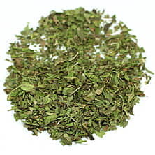 Peppermint - Mentha Piperita